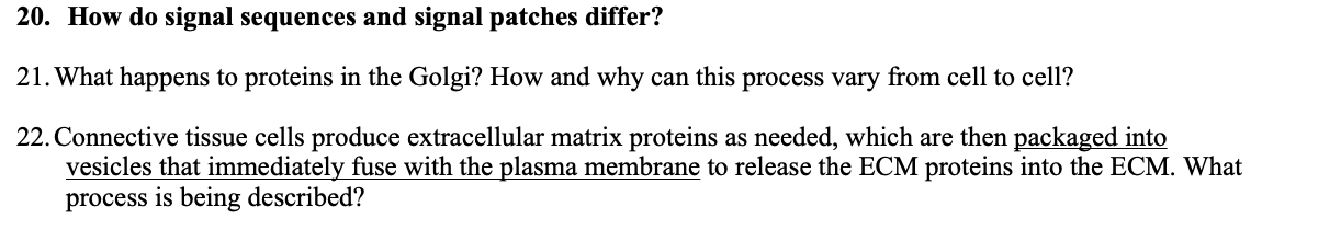 20. How do signal sequences and signal patches differ?
21. What happens to proteins in the Golgi? How and why can this proces