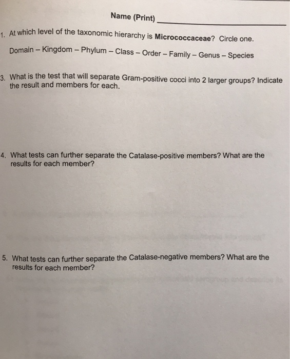 Solved Name (Print) At which level of the taxonomic | Chegg.com