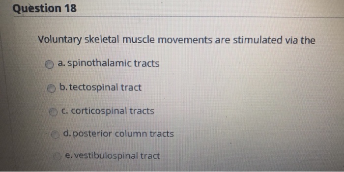 Solved Question 18 Voluntary skeletal muscle movements are | Chegg.com