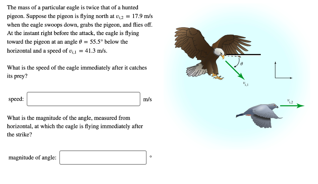Solved The mass of a particular eagle is twice that of a | Chegg.com