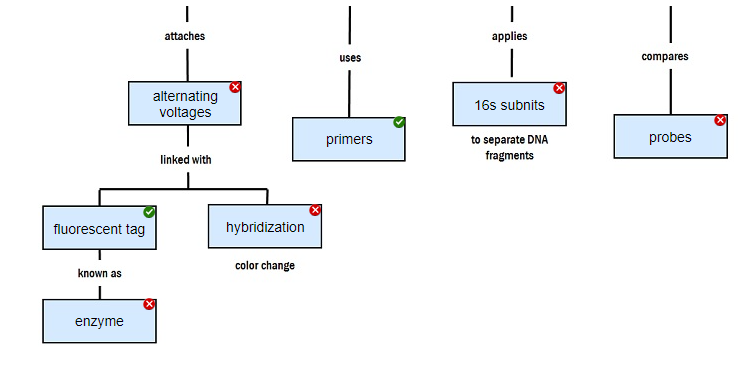 Solved Move the terms into the correct empty boxes to | Chegg.com