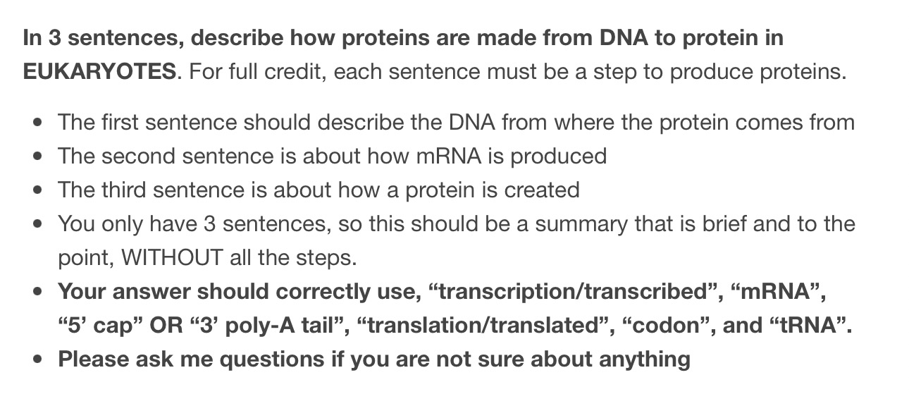 Solved In 3 sentences, describe how proteins are made from