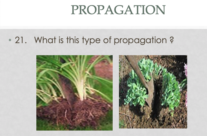 Solved PROPAGATION 20. What type of Cutting is this? | Chegg.com