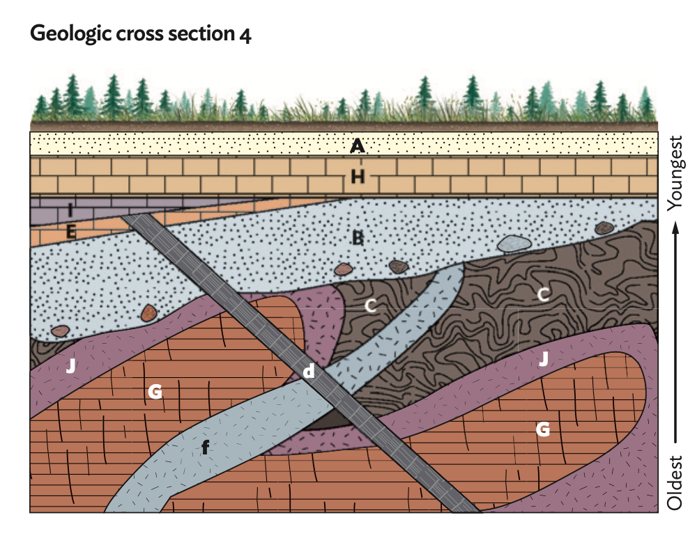 solved-for-each-cross-section-list-the-rock-units-from-chegg