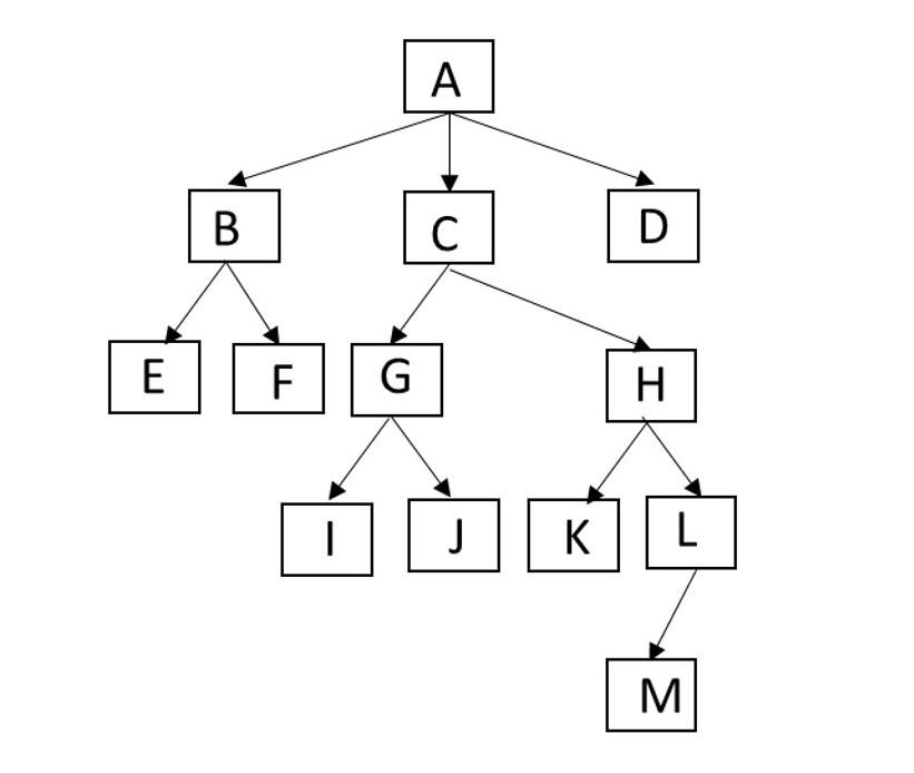 Solved For the tree ‘T’ shown in figure 1 answer the | Chegg.com