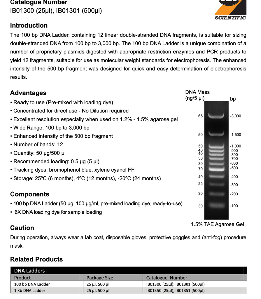 Introduction The 100 bp DNA Ladder, containing 12 | Chegg.com