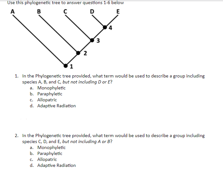 Solved Use this phylogenetic tree to answer questions 1-6 | Chegg.com