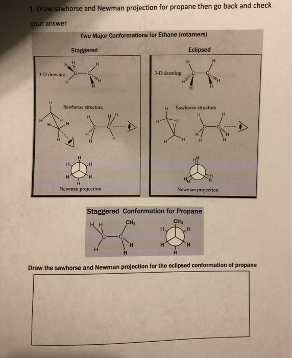 Solved . Draw sawhorse and Newman projection for propane
