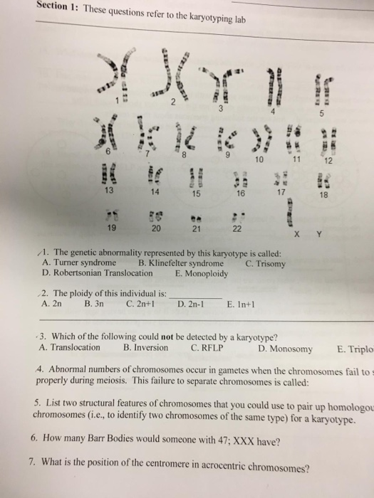 Solved Section 1: These questions refer to the karyotyping | Chegg.com