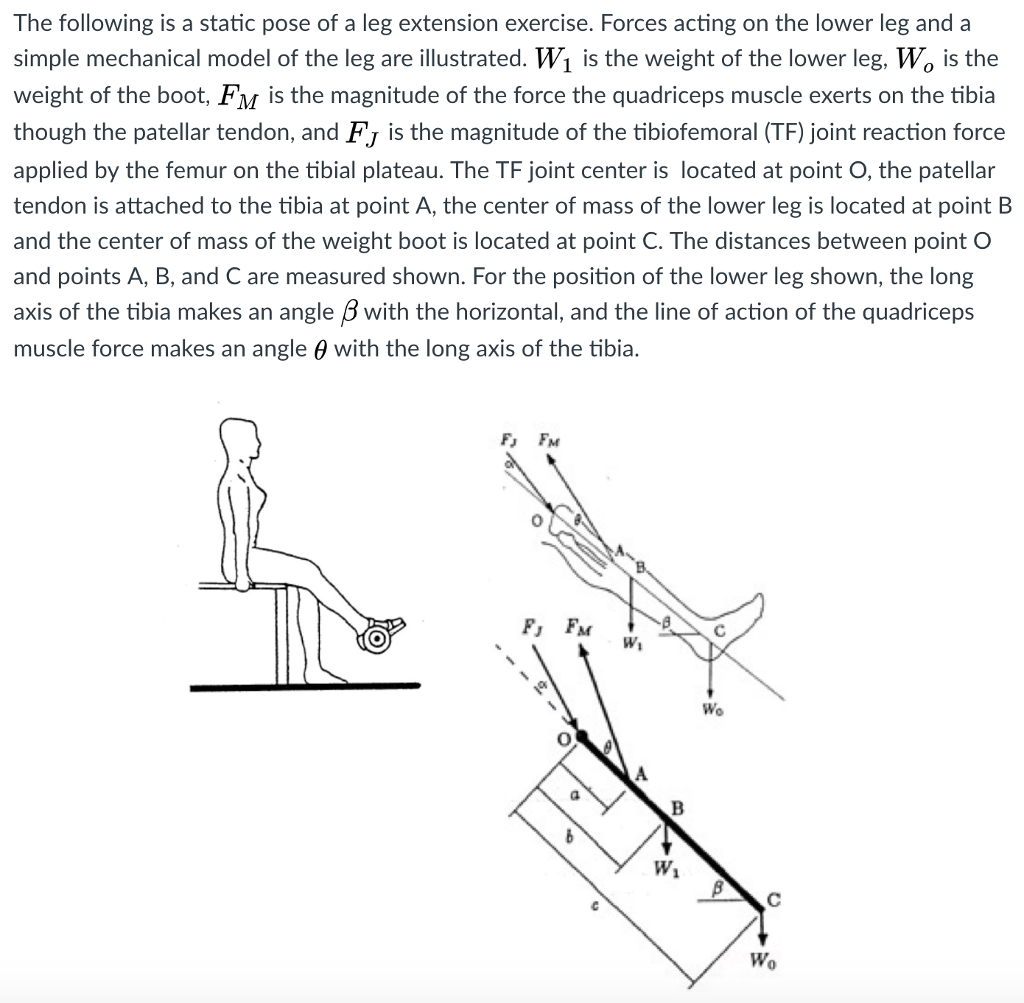 Solved The following is a static pose of a leg extension | Chegg.com