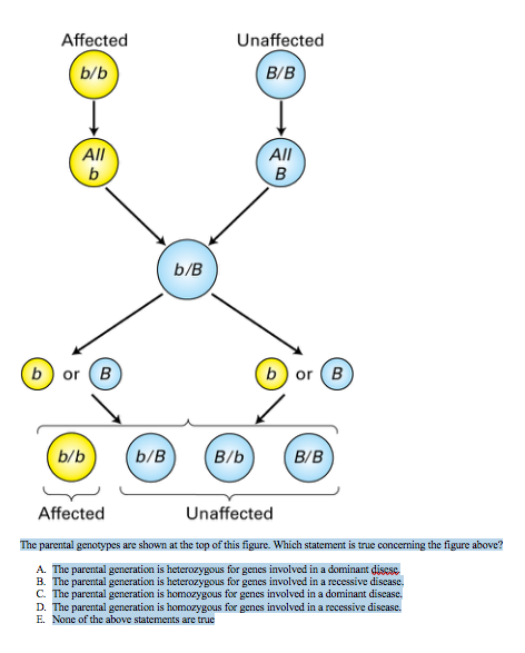 Solved Affected Unaffected B/B B/b Affected Unaffected The | Chegg.com