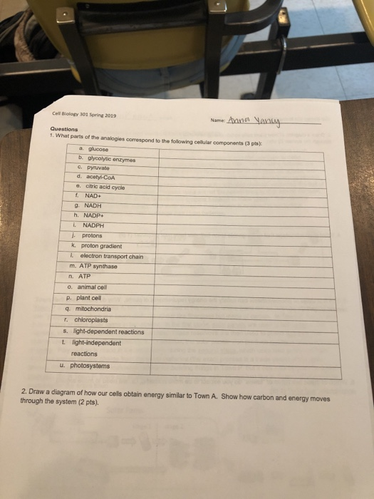 Exam H19-301_V3.0 Cram Review