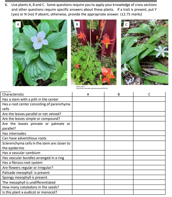 Solved 6. Use Plants A, B And C. Some Questions Require You | Chegg.com