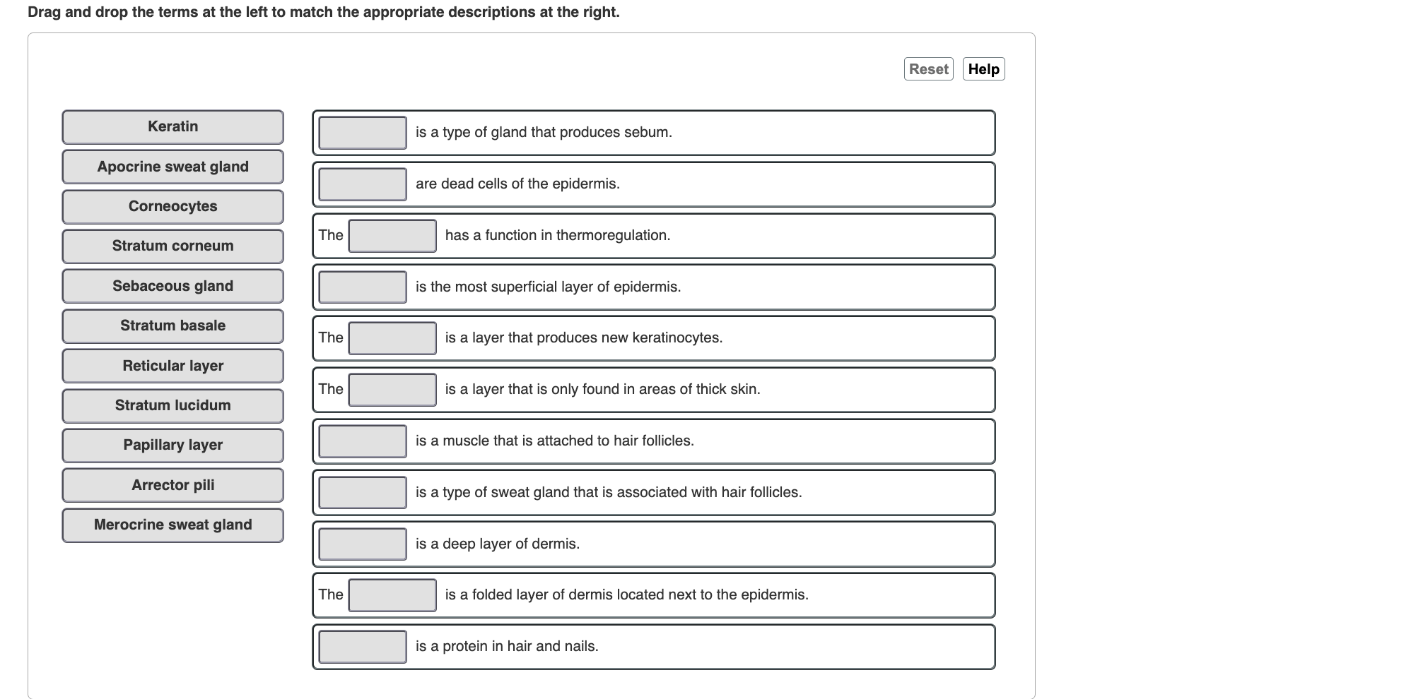 Solved Drag and drop the terms at the left to match the | Chegg.com