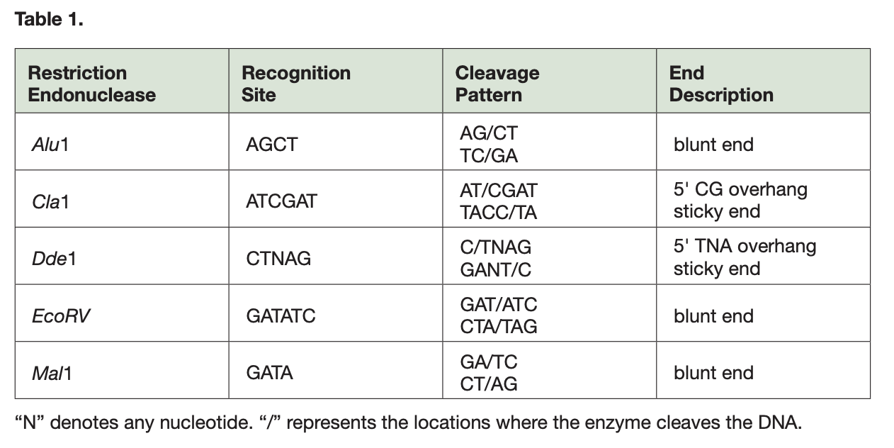 Table 1. Restriction Endonuclease Recognition Site | Chegg.com