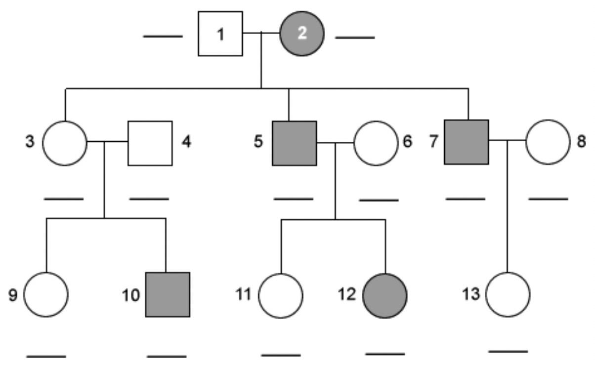 Solved Pedigree Analysis: Sex-linked traits The following ...