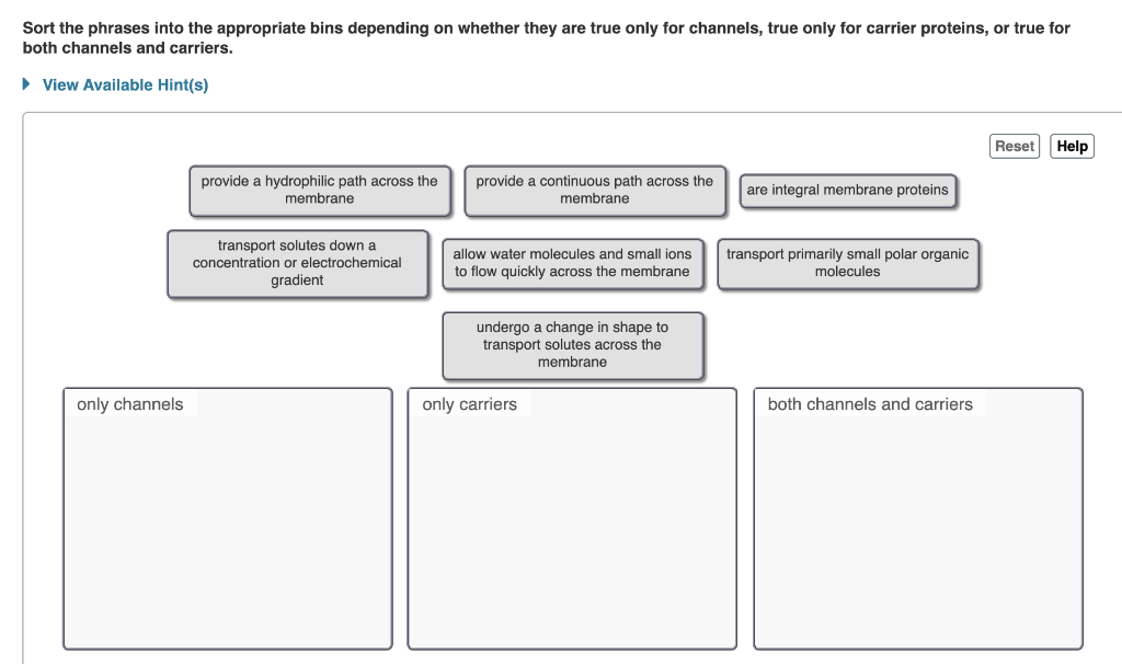 solved-sort-the-phrases-into-the-appropriate-bins-depending-chegg