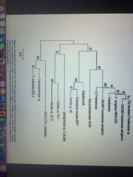 Solved 5. Examine Figure 5. What conclusion can you draw