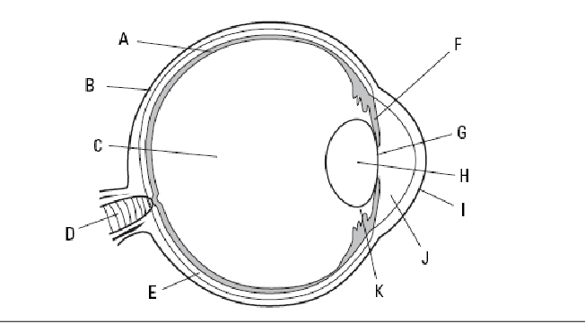 Solved Use the diagram to answer the question. You have | Chegg.com