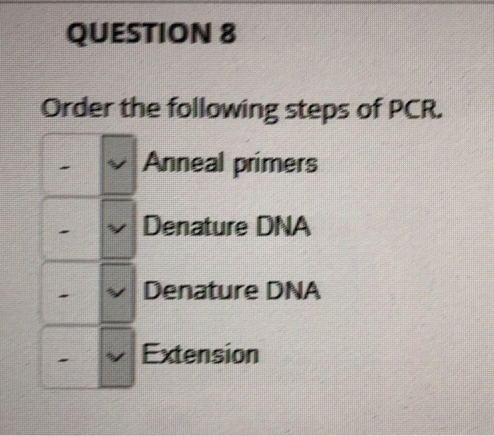 Solved QUESTION 8 Order the following steps of PCR. Anneal