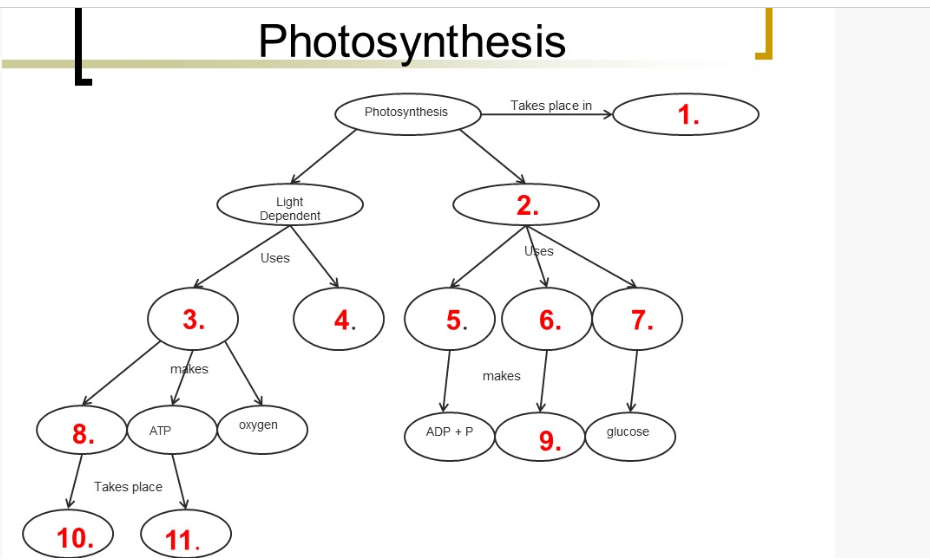 Solved Photosynthesis | Chegg.com