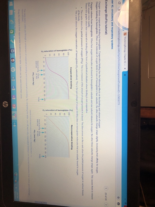 Solved Chapter 42 o CA Exchange (BioFlix tutorial) C) 20 of