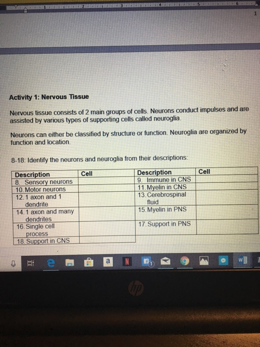 Solved Activity 1: Nervous Tissue Nervous tissue consists of | Chegg.com