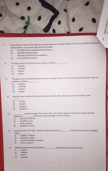 Solved HUMAN DEVELOPMENT TEST 2 CHAPTERS 3 4 1. When does