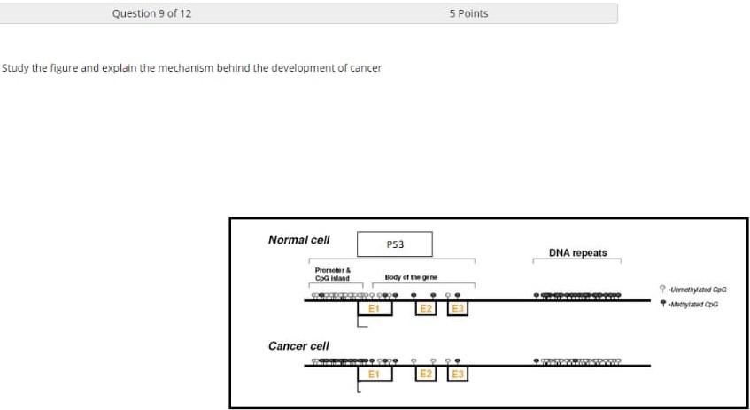 Question 9 of 12 Study the figure and explain the mechanism behind the development of cancer Normal cell P53 Body of the gene