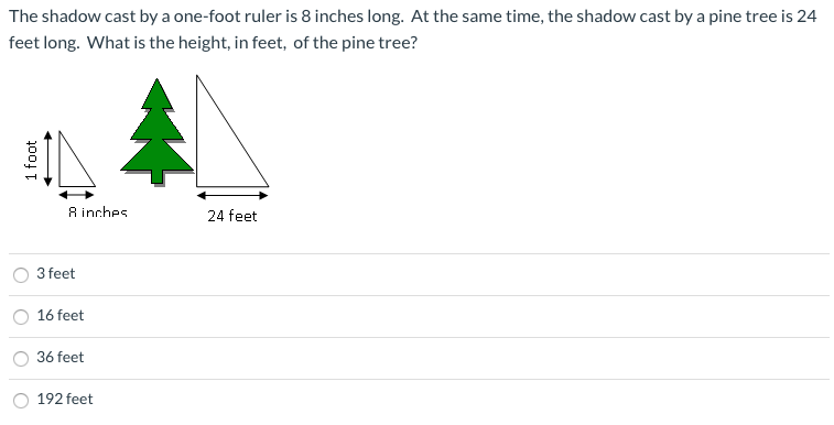 a foot ruler