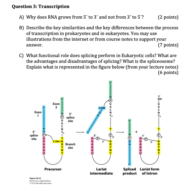 Solved Question 1: DNA technologies A) Describe the logic | Chegg.com