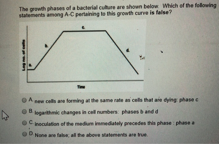 Solved The growth phases of a bacterial culture are shown | Chegg.com