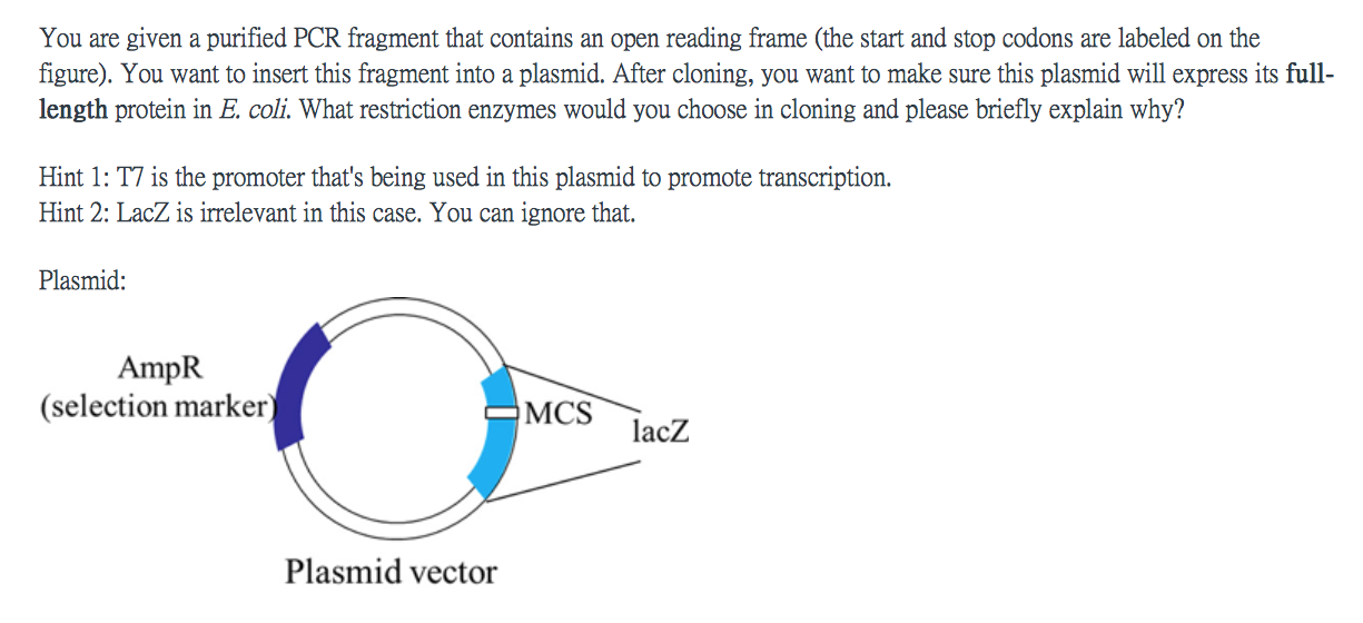 Solved Your goal is to insert a PCR product containing an | Chegg.com