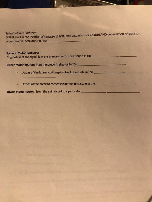 SENSORY, MOTOR, INTEGRATIVE SYSTEMSChapter 16 What