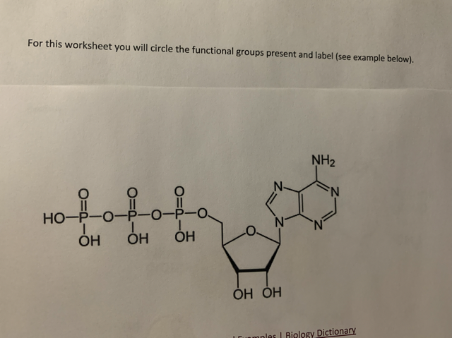 Solved For this worksheet you will circle the functional | Chegg.com