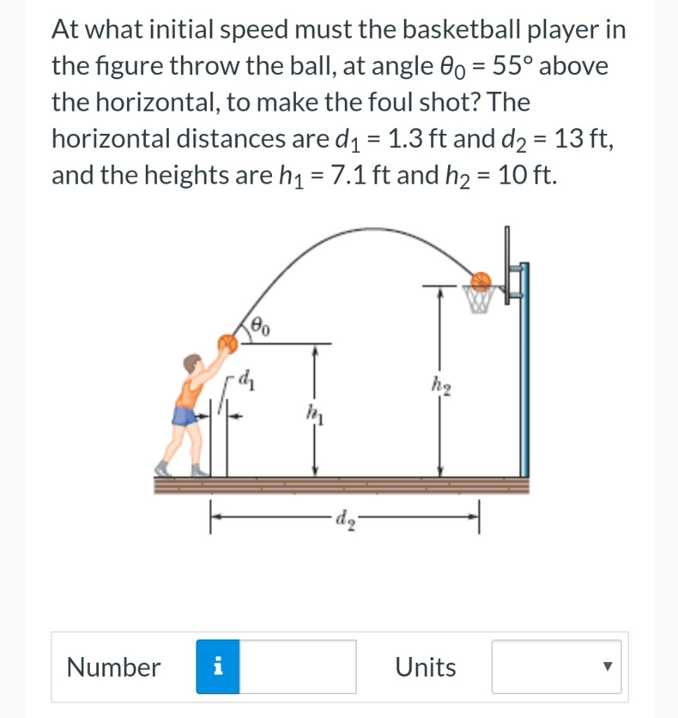 Solved At what initial speed must the basketball player in | Chegg.com