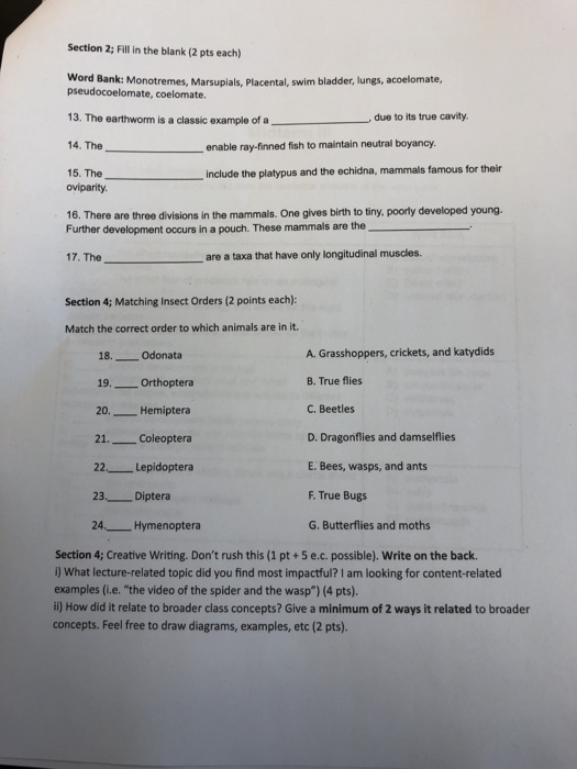 Solved Section 2; Fill in the blank (2 pts each) Word Bank: | Chegg.com