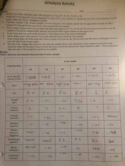 Solved Urinalysis Activity Date 2. Obtain the Urine
