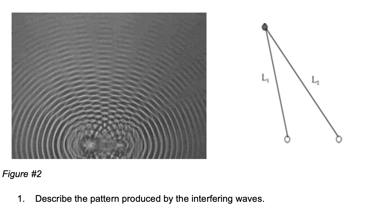 Solved L L L Figure #2 1. Describe the pattern produced by | Chegg.com