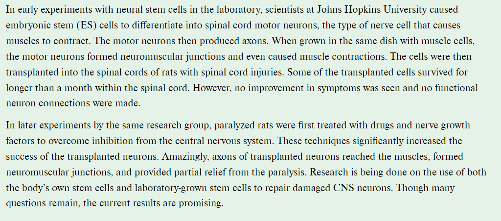Solved Nerve Regeneration and Stem Cells In humans, axons | Chegg.com