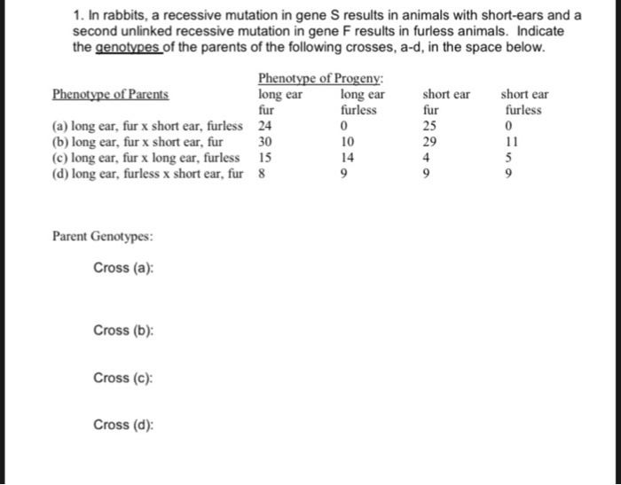 Solved 1. In rabbits, a recessive mutation in gene S results | Chegg.com