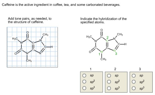 lone pairs in caffeine molecule