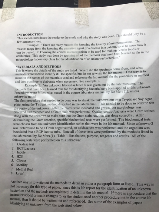 Solved My gram negative unknown identification Bacteria is