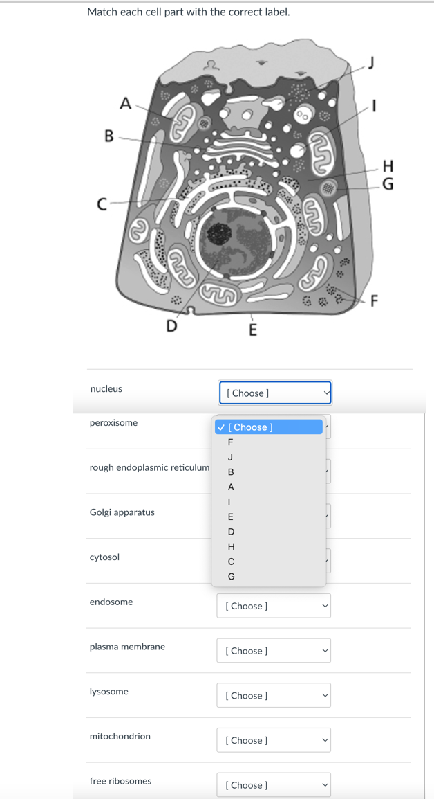 Solved Match Each Cell Part With The Correct Label. Α. B I F | Chegg.com