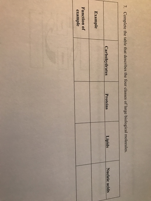 Solved Complete the table that describes the four classes of | Chegg.com