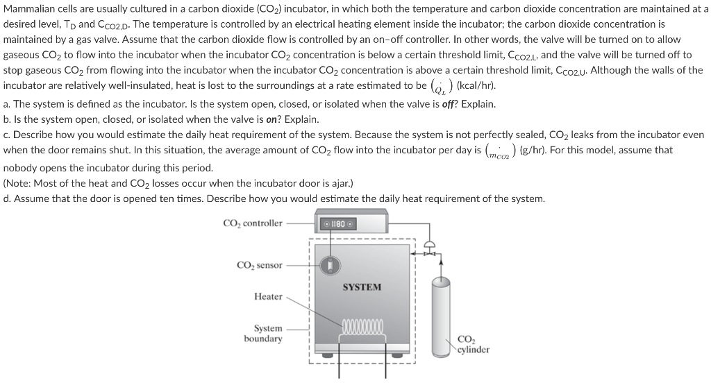 Solved Mammalian cells are usually cultured in a carbon