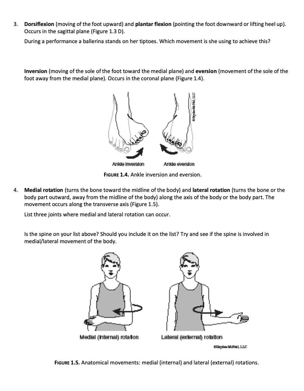 Dorsiflexion and Plantar Flexion of the Foot