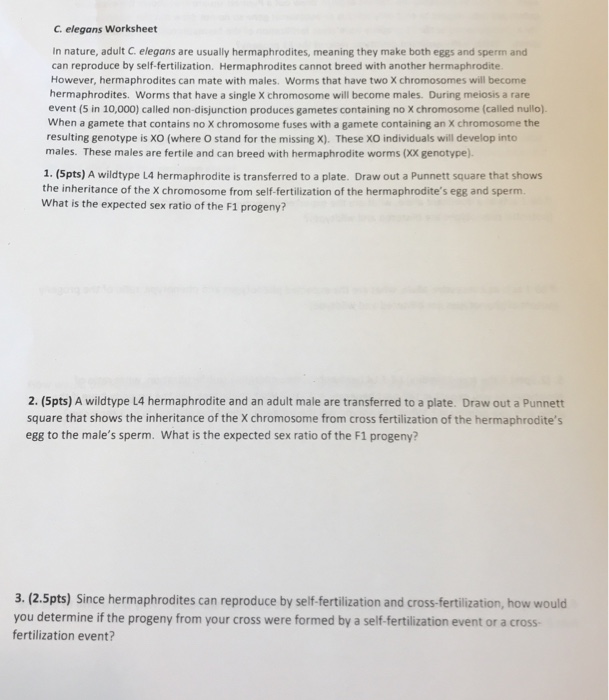 Solved C. elegans Worksheet In nature, adult C. elegans are