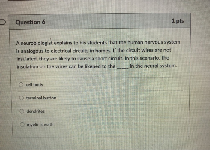 Solved Question 6 1 pts A neurobiologist explains to his | Chegg.com