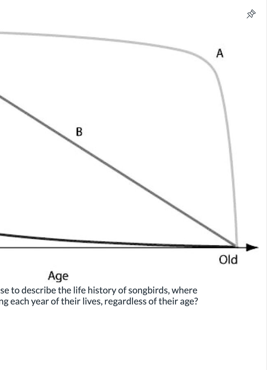 Solved Which Survivorship Curve Would You Use To Describe | Chegg.com